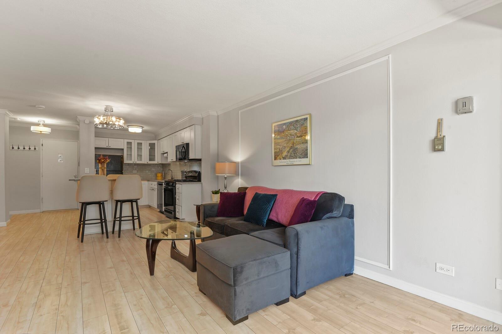 MLS Image #10 for 800 n washington street,denver, Colorado