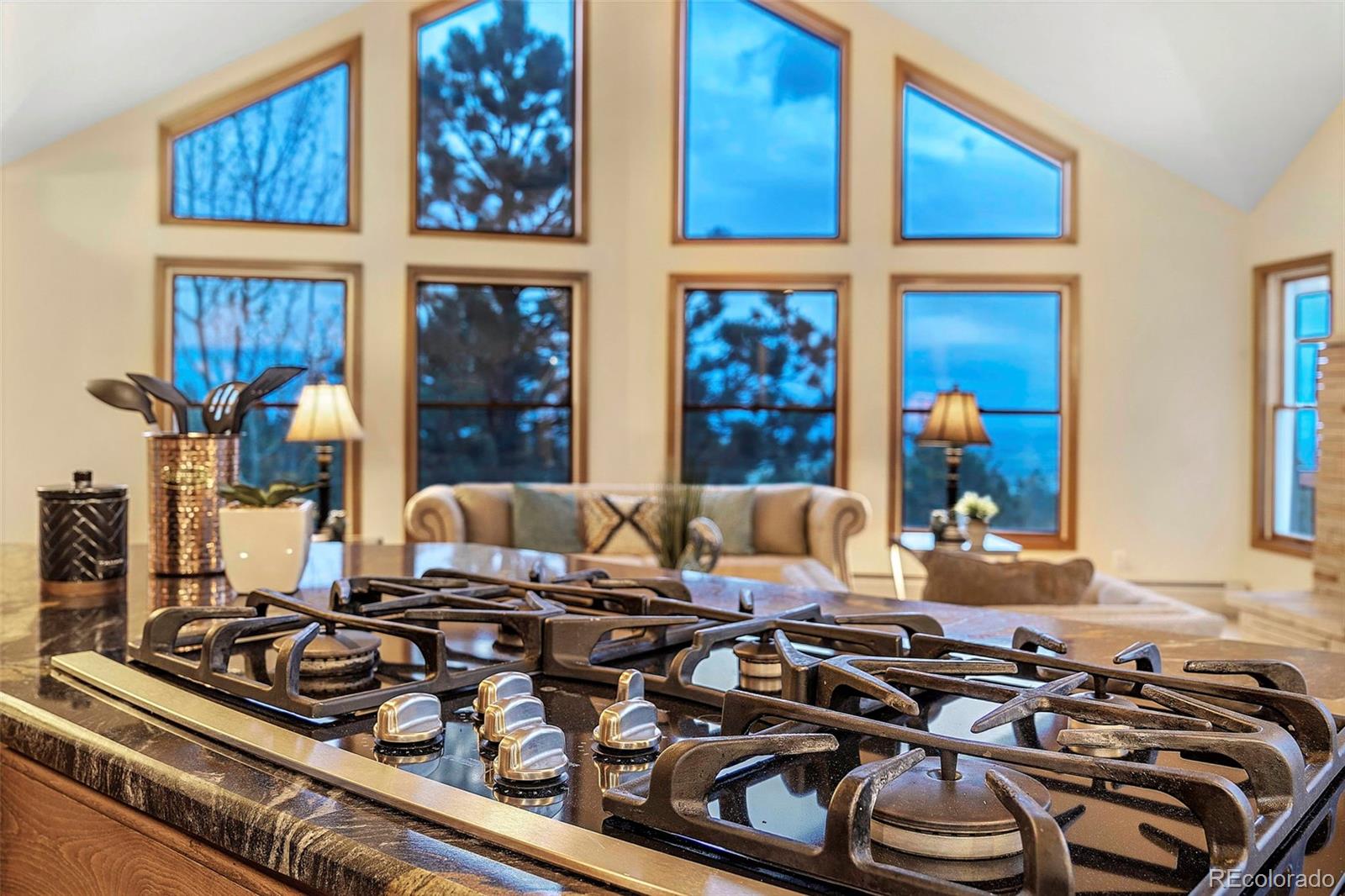 MLS Image #12 for 9001  eastridge road,golden, Colorado