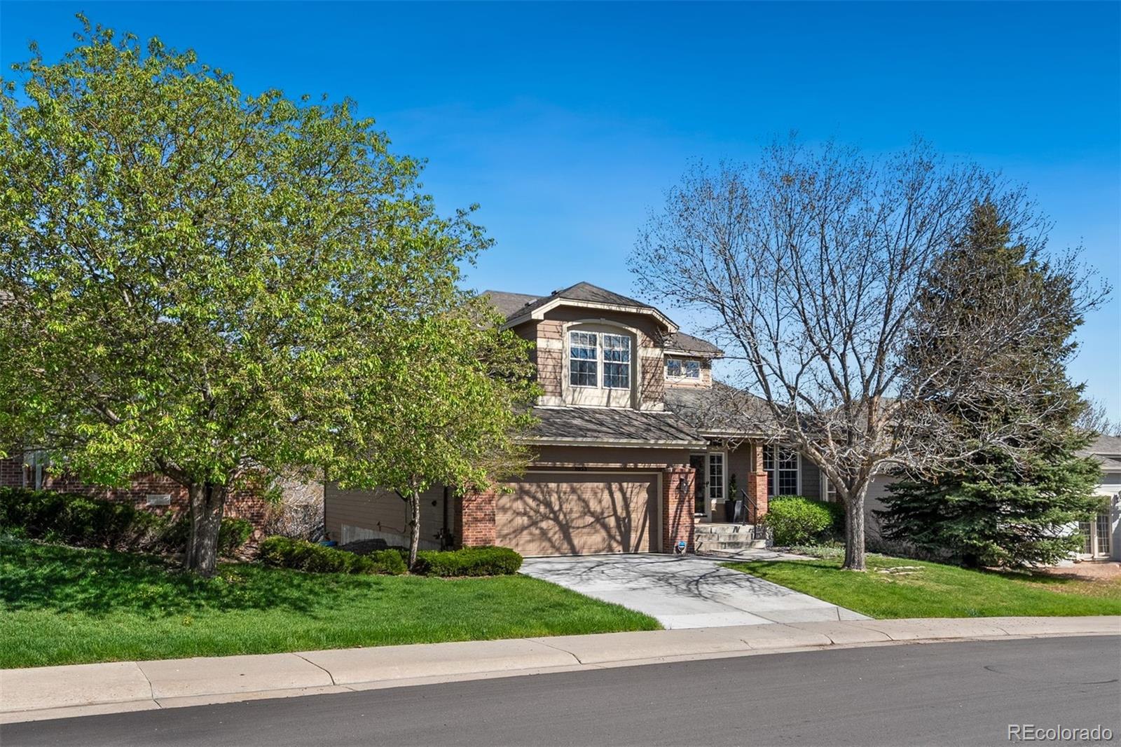 MLS Image #7 for 1053  snow lily court,castle pines, Colorado