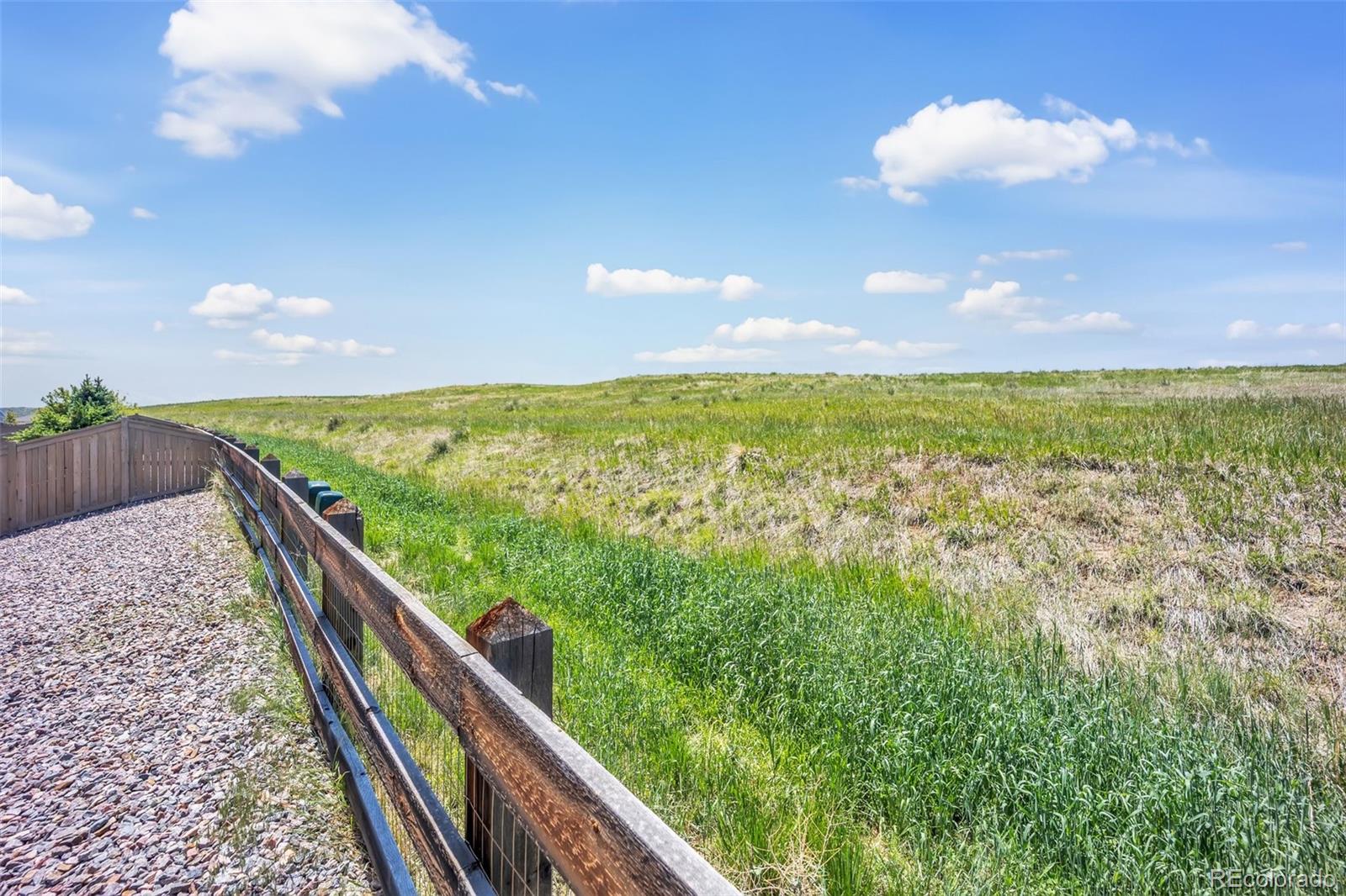 MLS Image #42 for 3325  umber circle,castle rock, Colorado