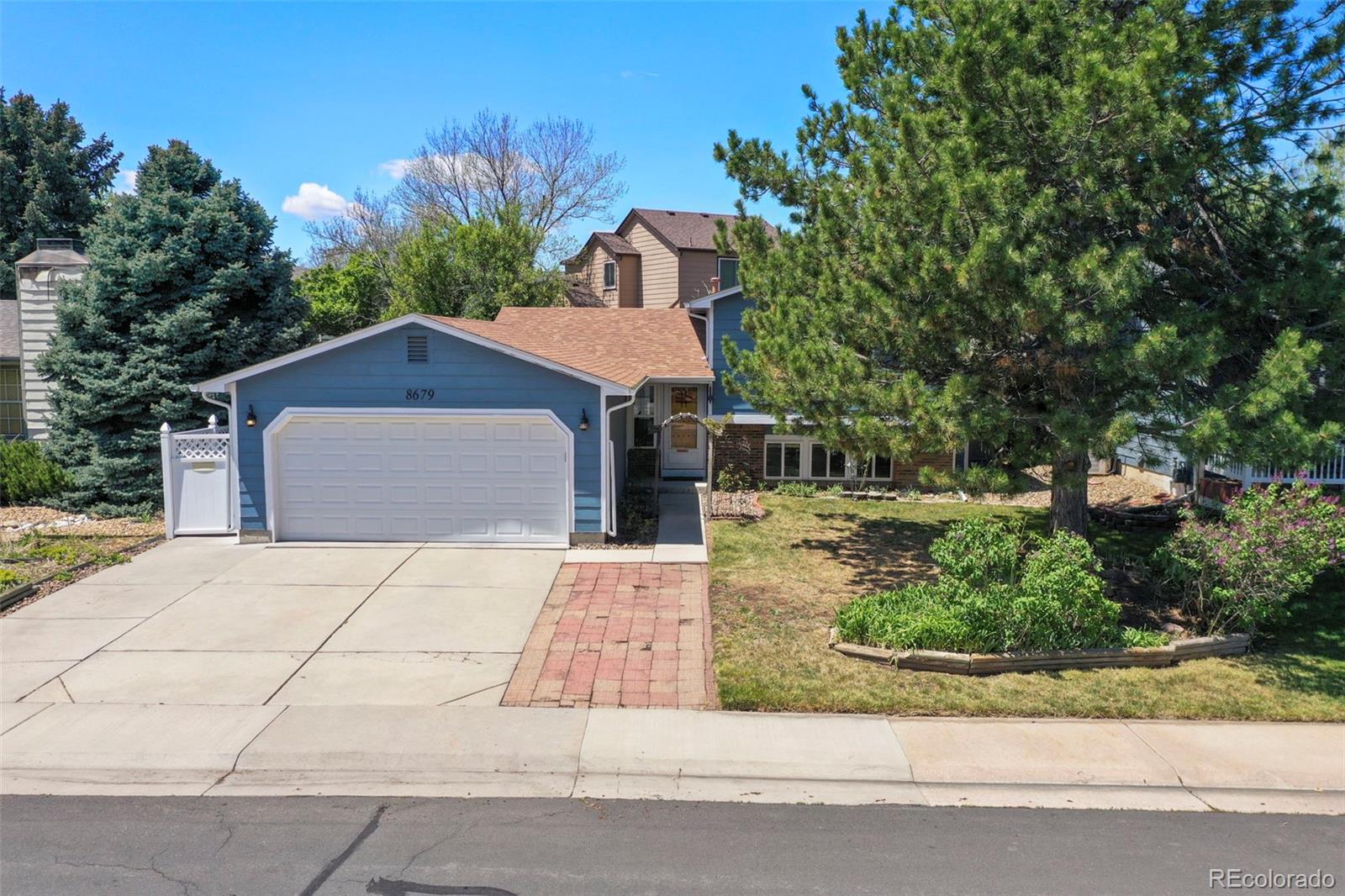 MLS Image #0 for 8679  apache plume drive,parker, Colorado