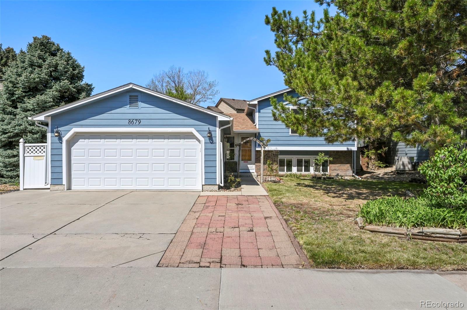 MLS Image #2 for 8679  apache plume drive,parker, Colorado