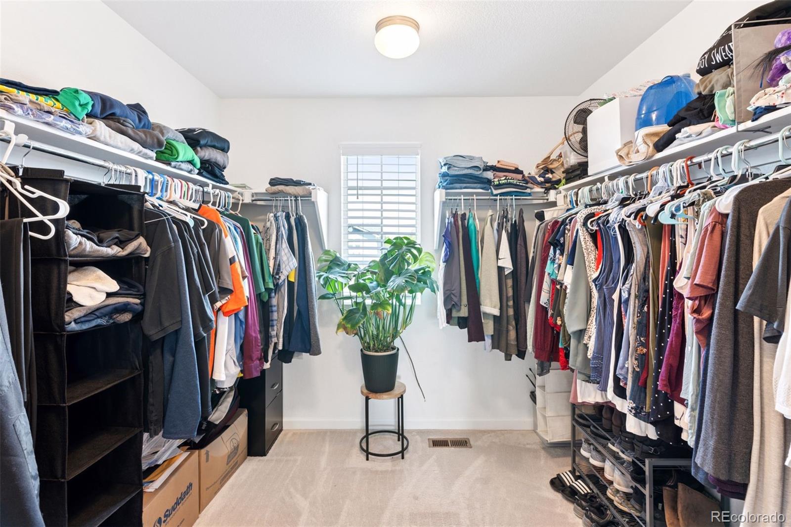 MLS Image #17 for 4280  pioneer place,brighton, Colorado