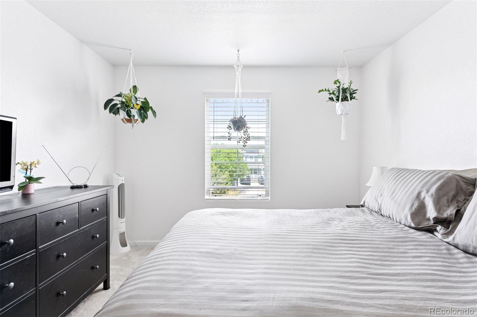 MLS Image #19 for 4280  pioneer place,brighton, Colorado