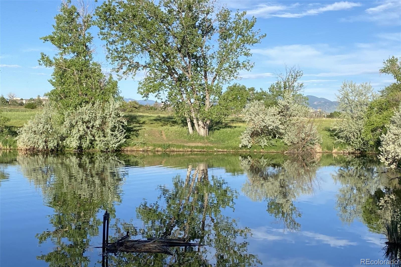 MLS Image #33 for 5535 w 96th place,westminster, Colorado