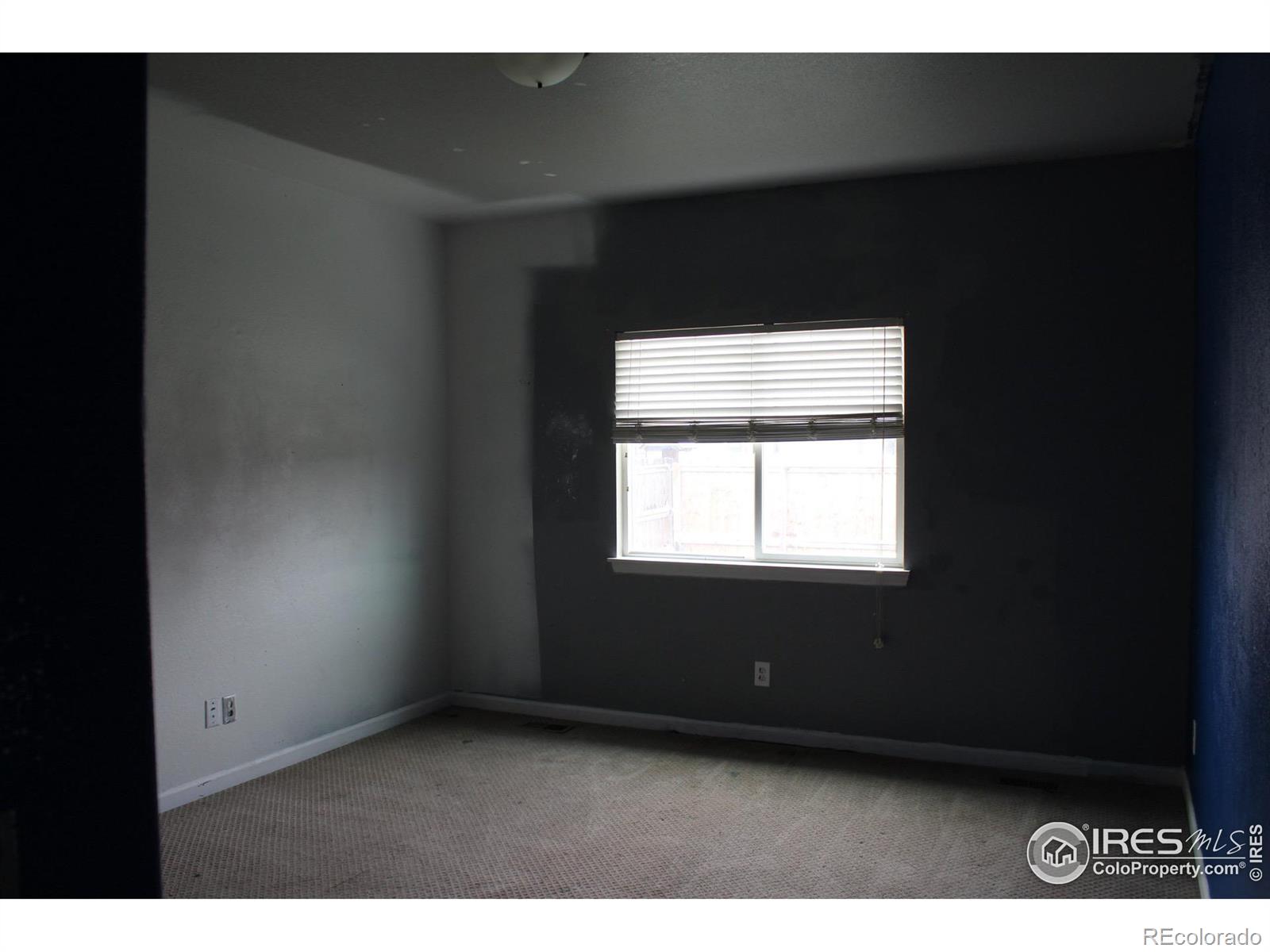 MLS Image #12 for 773  settlers drive,milliken, Colorado
