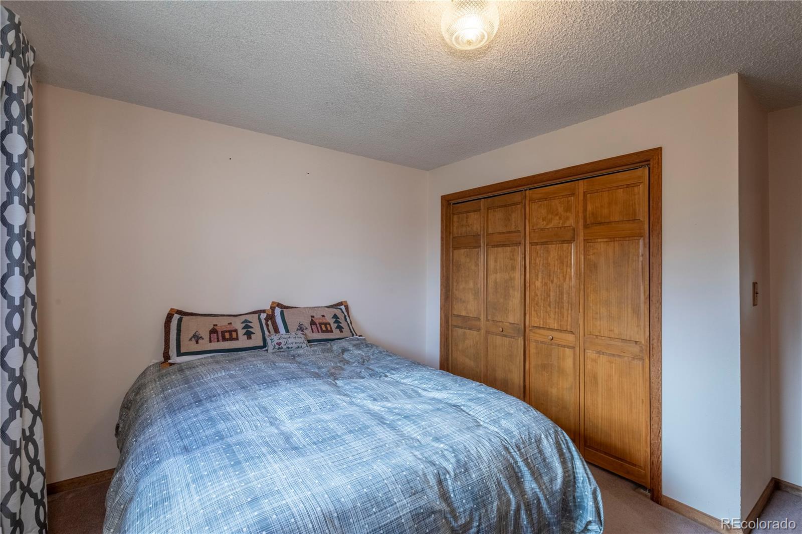 MLS Image #10 for 65  doe circle,bailey, Colorado