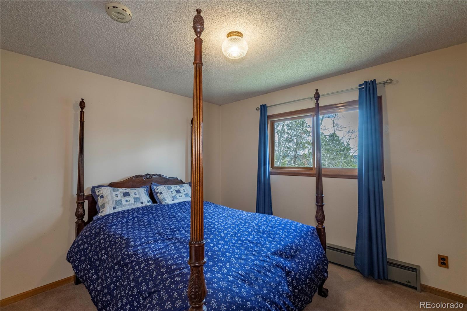 MLS Image #11 for 65  doe circle,bailey, Colorado