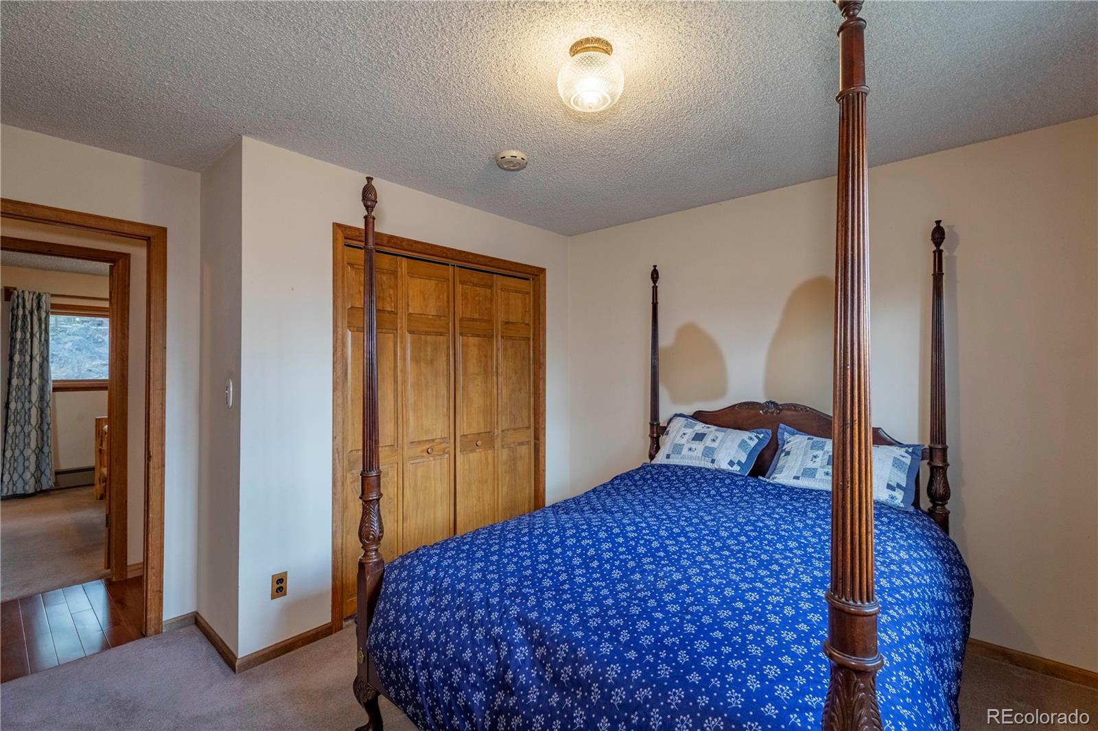 MLS Image #12 for 65  doe circle,bailey, Colorado