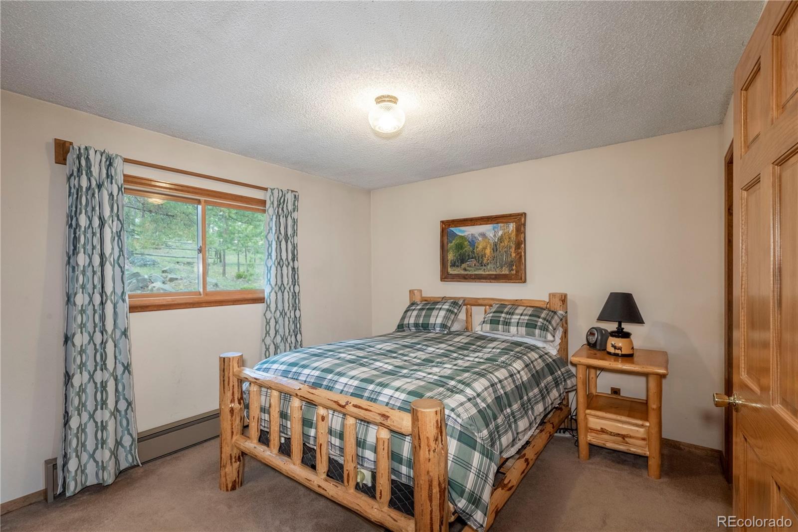 MLS Image #13 for 65  doe circle,bailey, Colorado