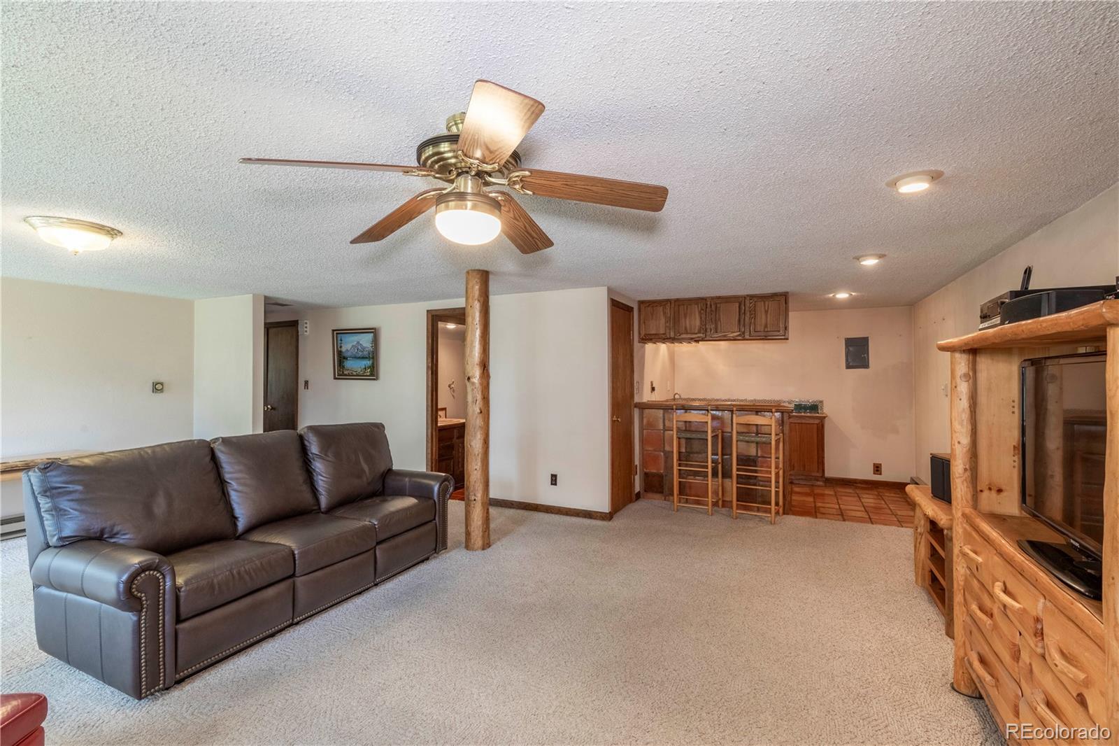 MLS Image #20 for 65  doe circle,bailey, Colorado