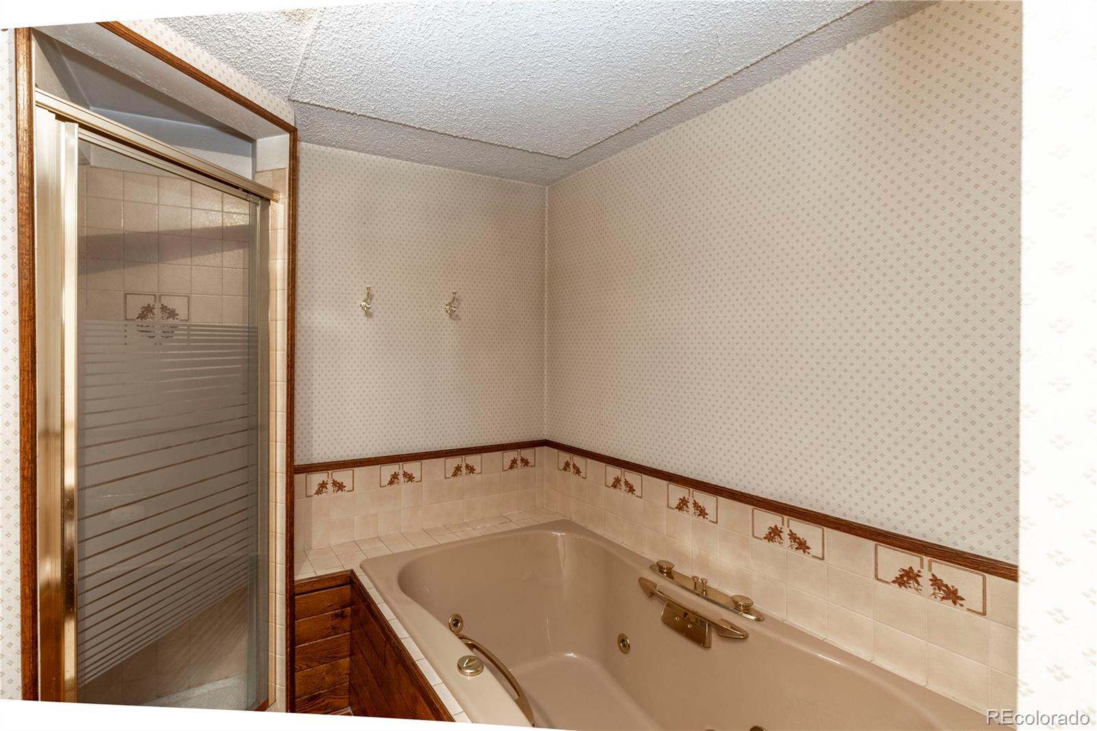 MLS Image #24 for 65  doe circle,bailey, Colorado
