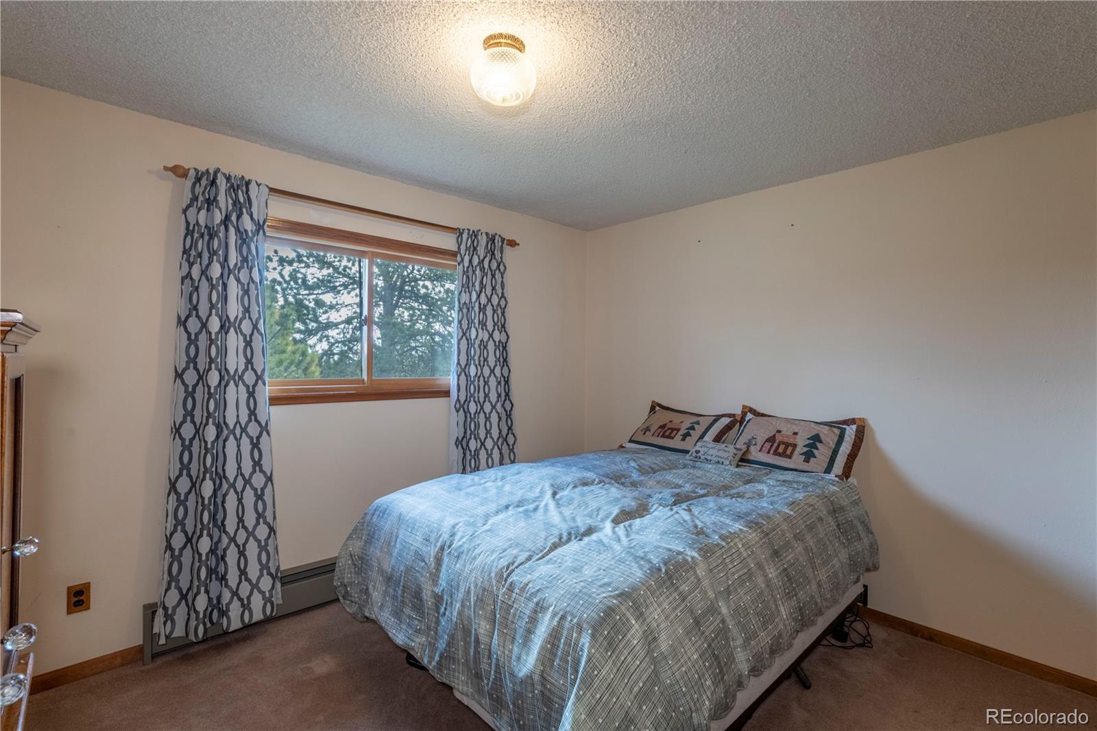 MLS Image #9 for 65  doe circle,bailey, Colorado