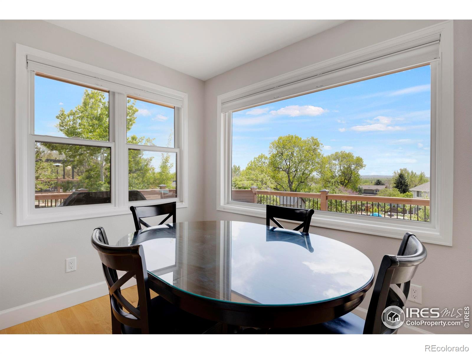 MLS Image #15 for 2721  villanova court,longmont, Colorado