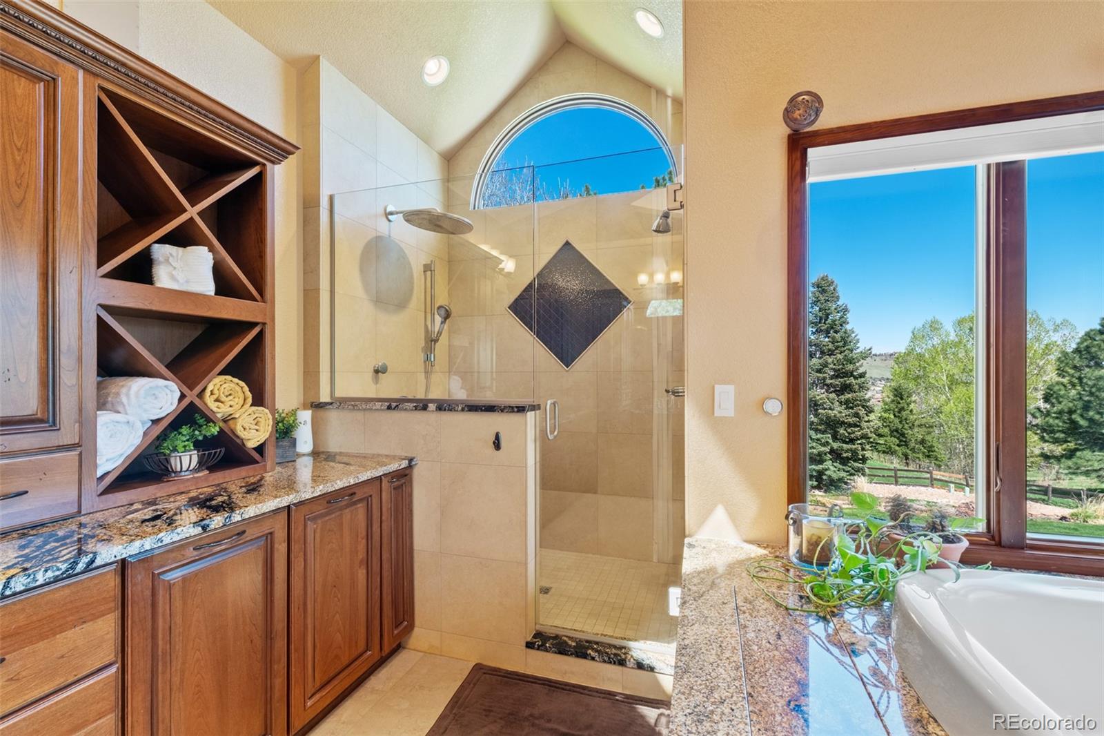 MLS Image #15 for 4  white fir court,littleton, Colorado