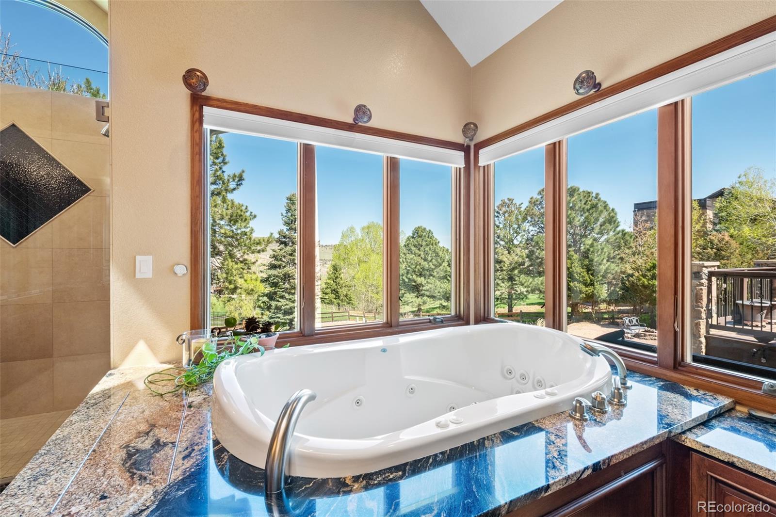 MLS Image #16 for 4  white fir court,littleton, Colorado