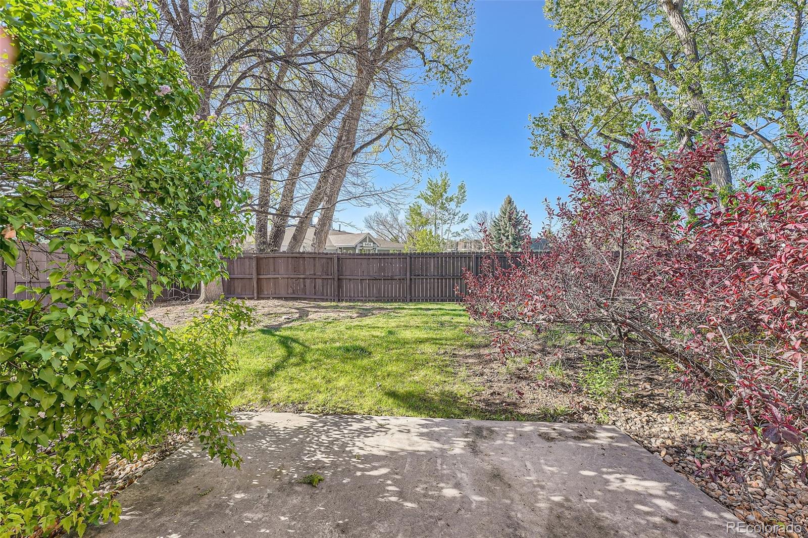 MLS Image #23 for 6492  simms street,arvada, Colorado