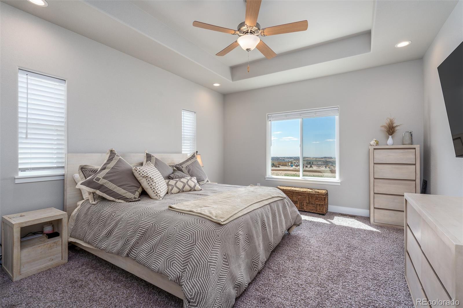 MLS Image #20 for 10266  odin drive,colorado springs, Colorado