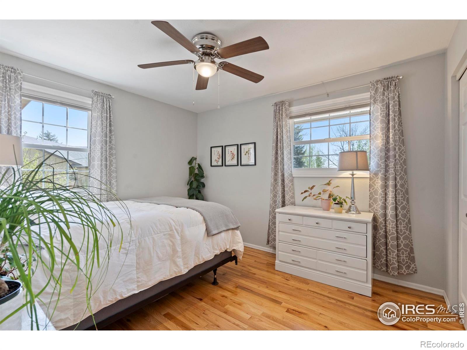MLS Image #10 for 3017  nevada place,loveland, Colorado