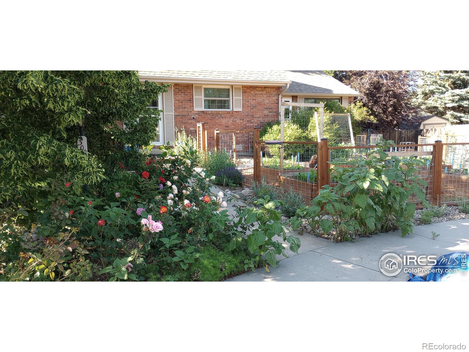 MLS Image #38 for 3017  nevada place,loveland, Colorado