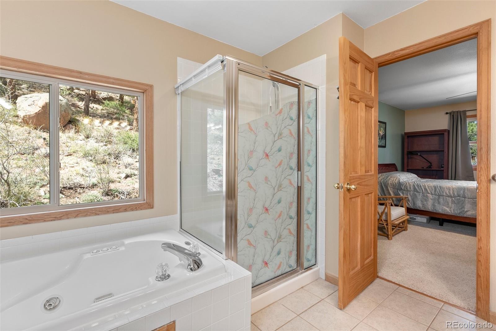 MLS Image #14 for 29  cedar lane,bailey, Colorado