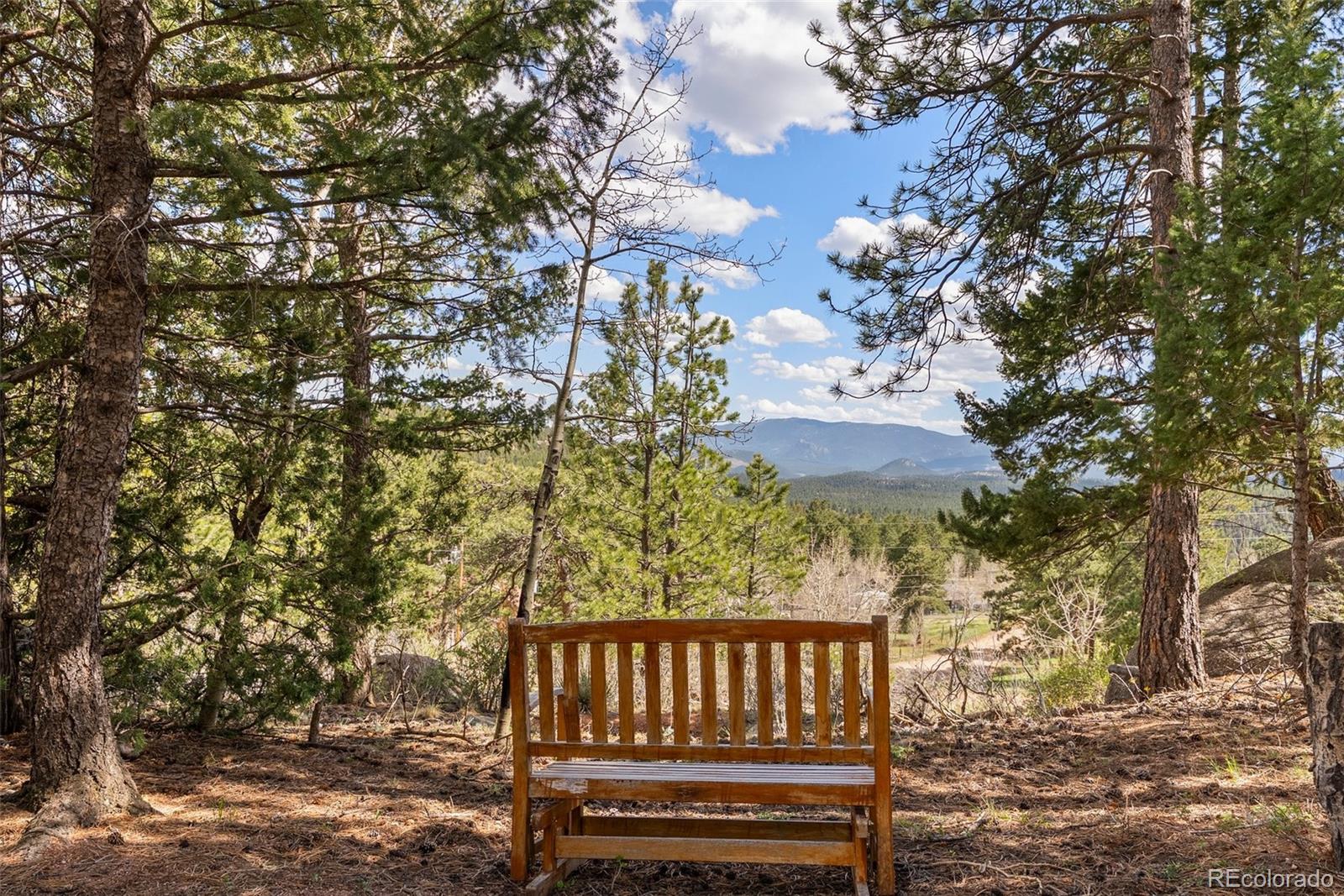 MLS Image #34 for 29  cedar lane,bailey, Colorado
