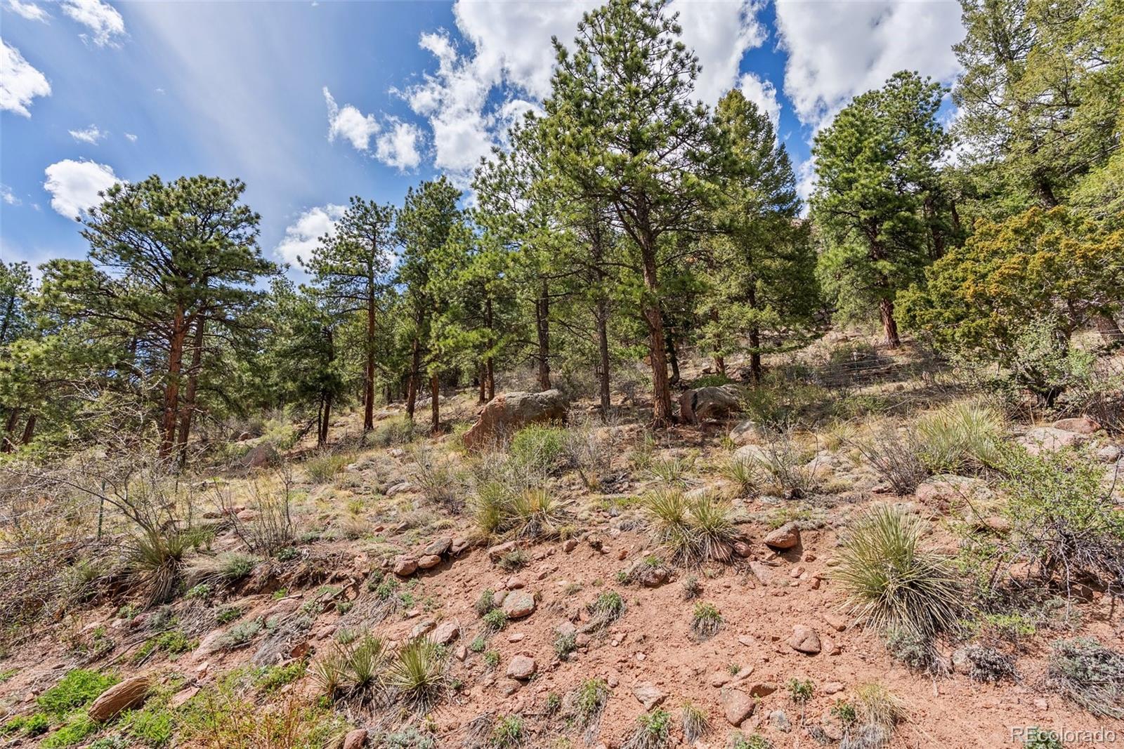 MLS Image #35 for 29  cedar lane,bailey, Colorado