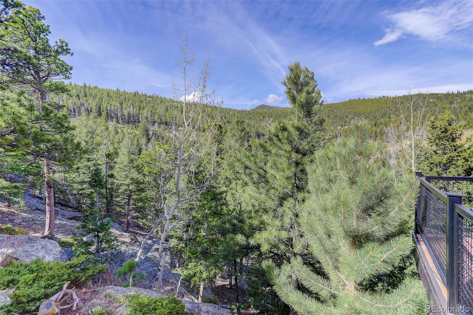 MLS Image #33 for 180  outpost lane,evergreen, Colorado