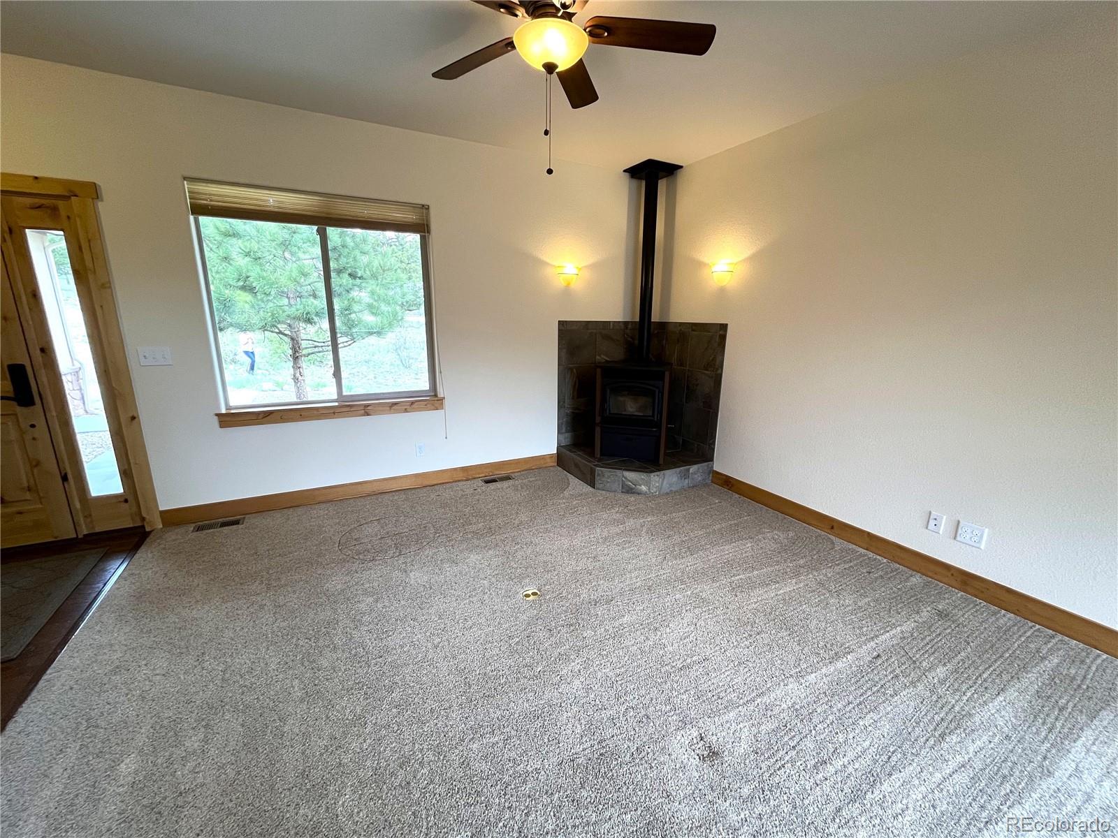 MLS Image #1 for 30684  mountainside drive,buena vista, Colorado