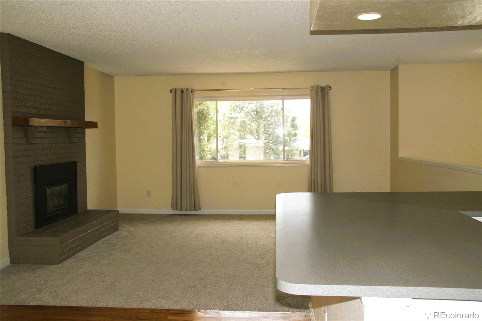 MLS Image #9 for 1008  park view court,castle rock, Colorado