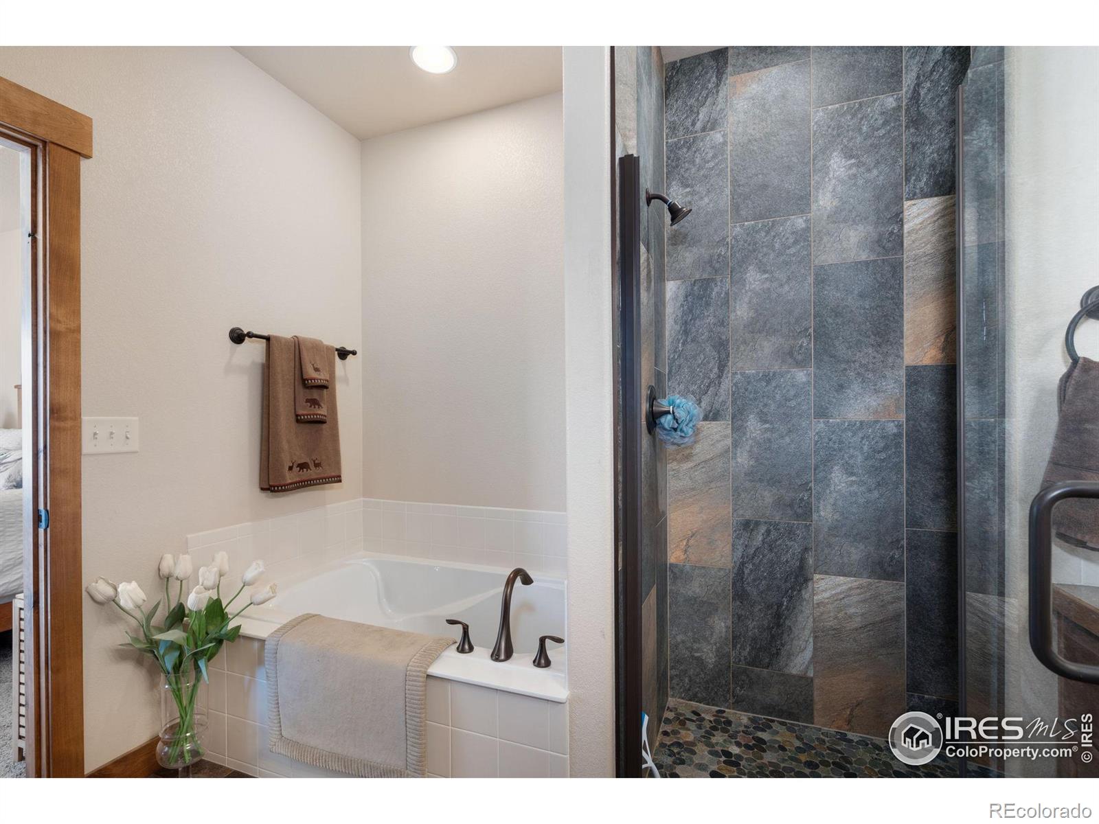 MLS Image #17 for 7084  sumner street,wellington, Colorado