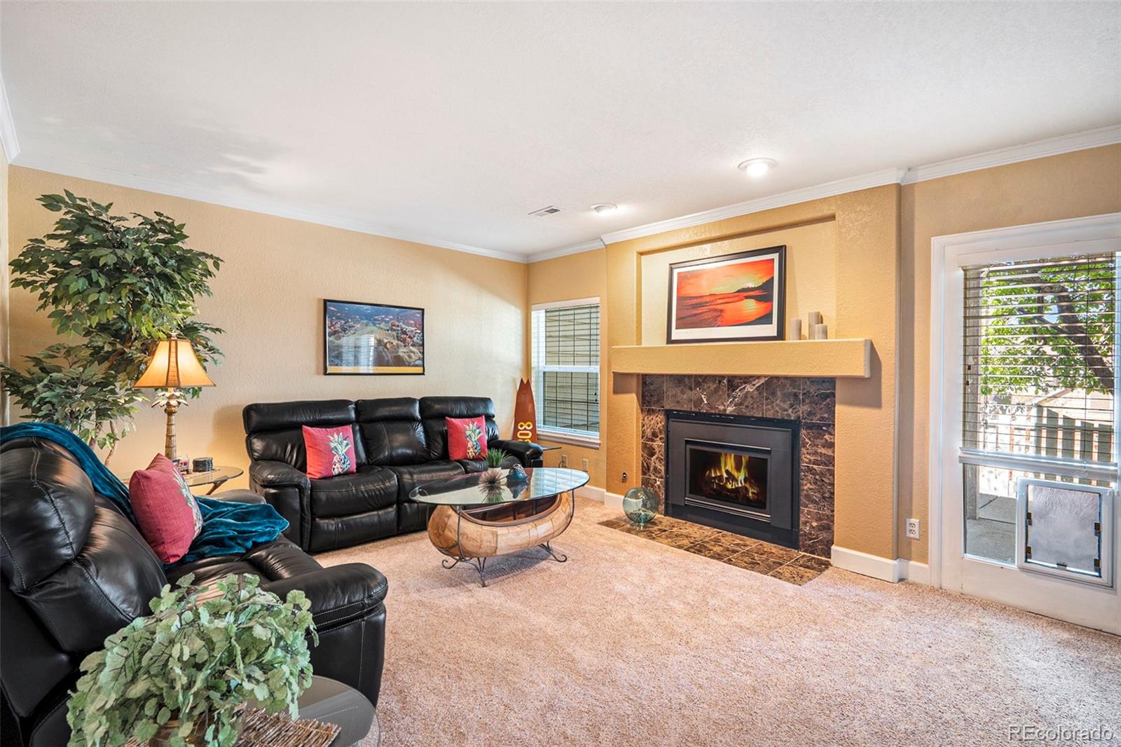 MLS Image #15 for 9875  greensview circle ,lone tree, Colorado