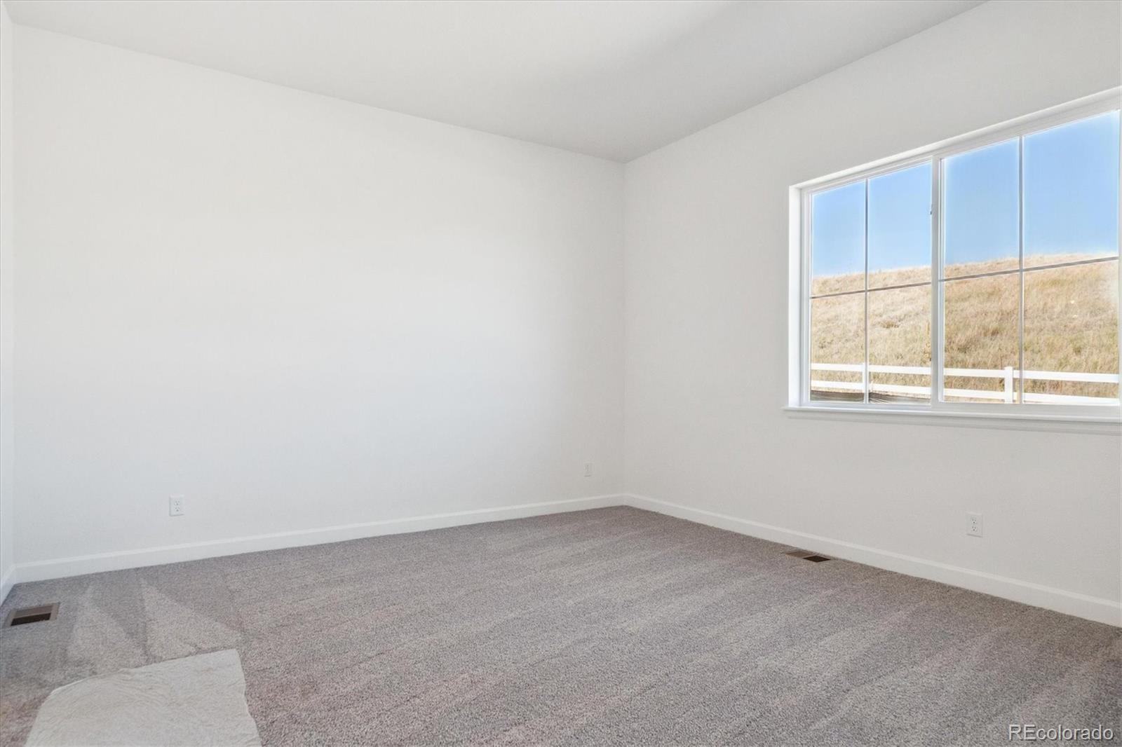 MLS Image #16 for 1645  green fern point,castle rock, Colorado