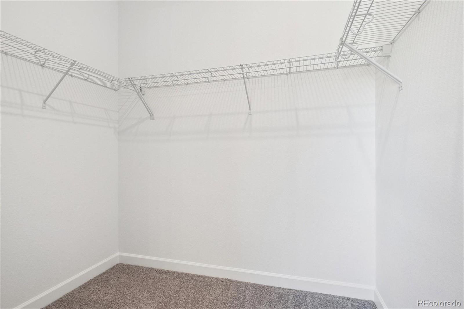 MLS Image #19 for 1645  green fern point,castle rock, Colorado