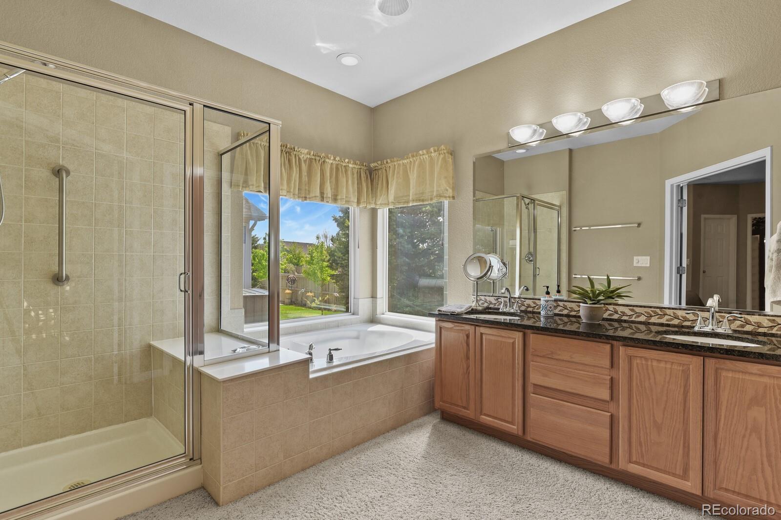 MLS Image #11 for 23426  briar leaf avenue,parker, Colorado