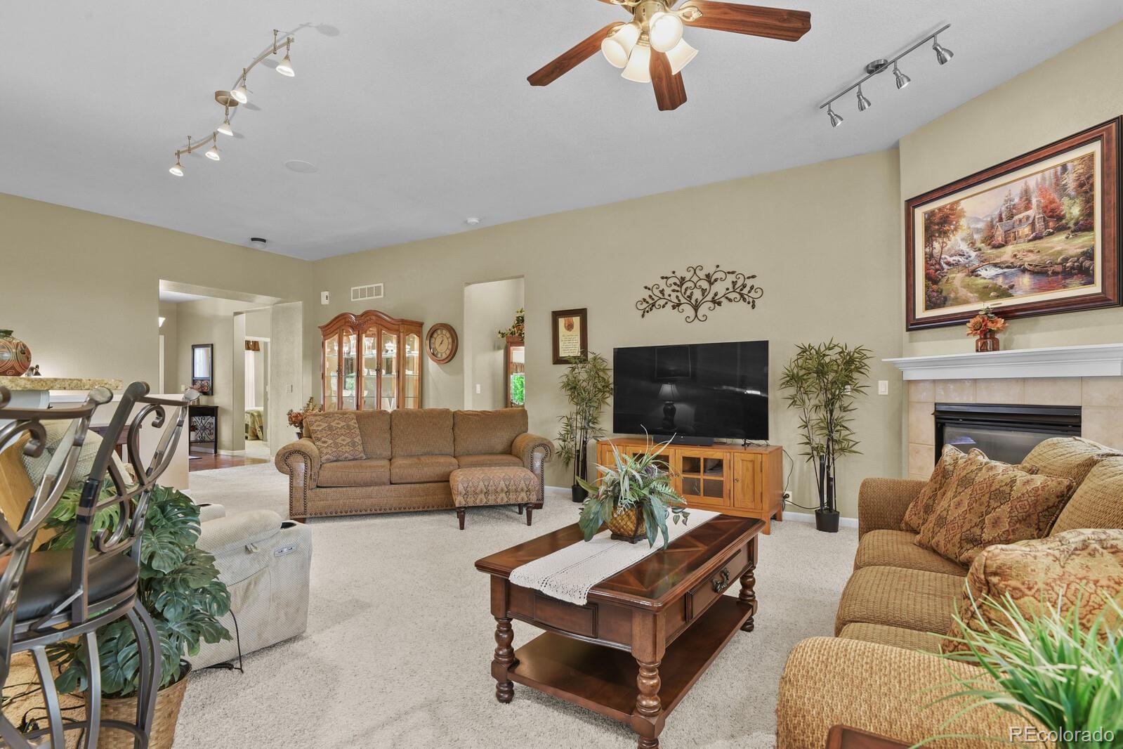 MLS Image #13 for 23426  briar leaf avenue,parker, Colorado