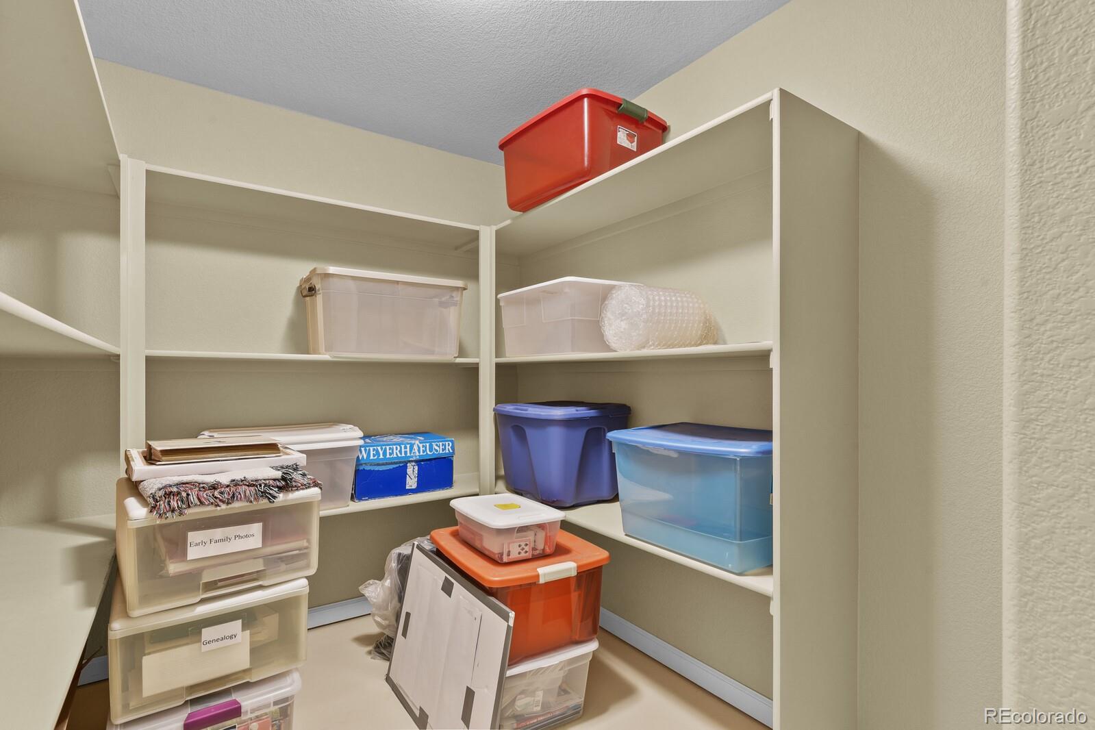 MLS Image #27 for 23426  briar leaf avenue,parker, Colorado