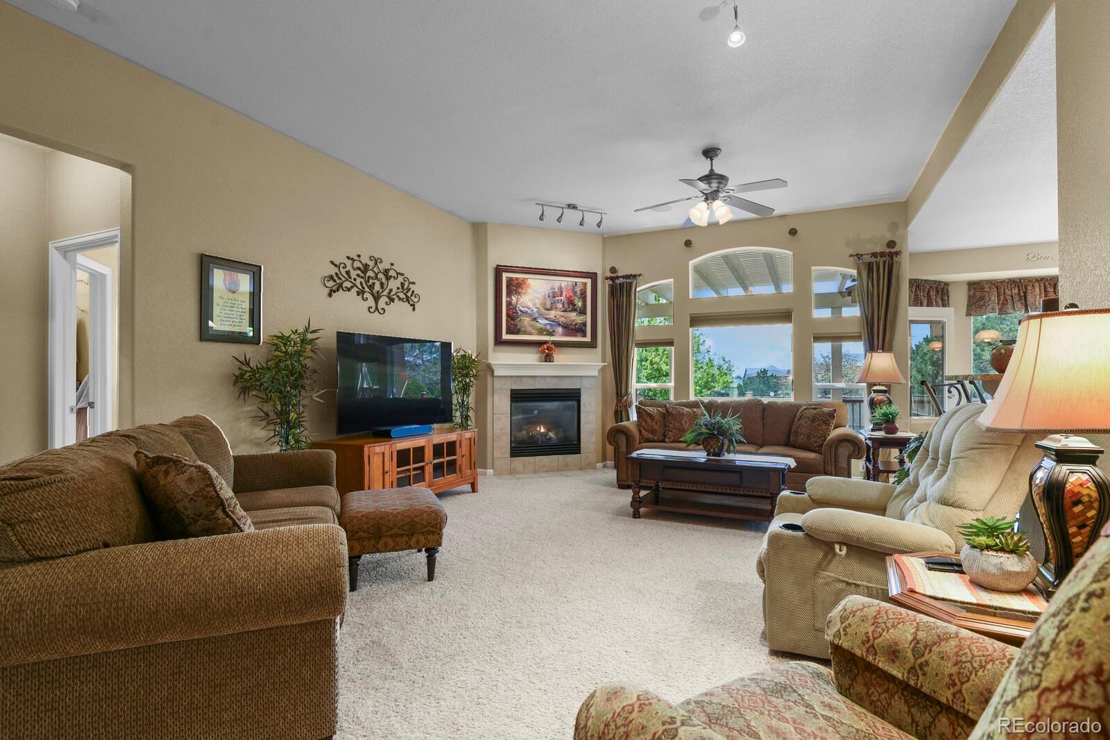 MLS Image #9 for 23426  briar leaf avenue,parker, Colorado