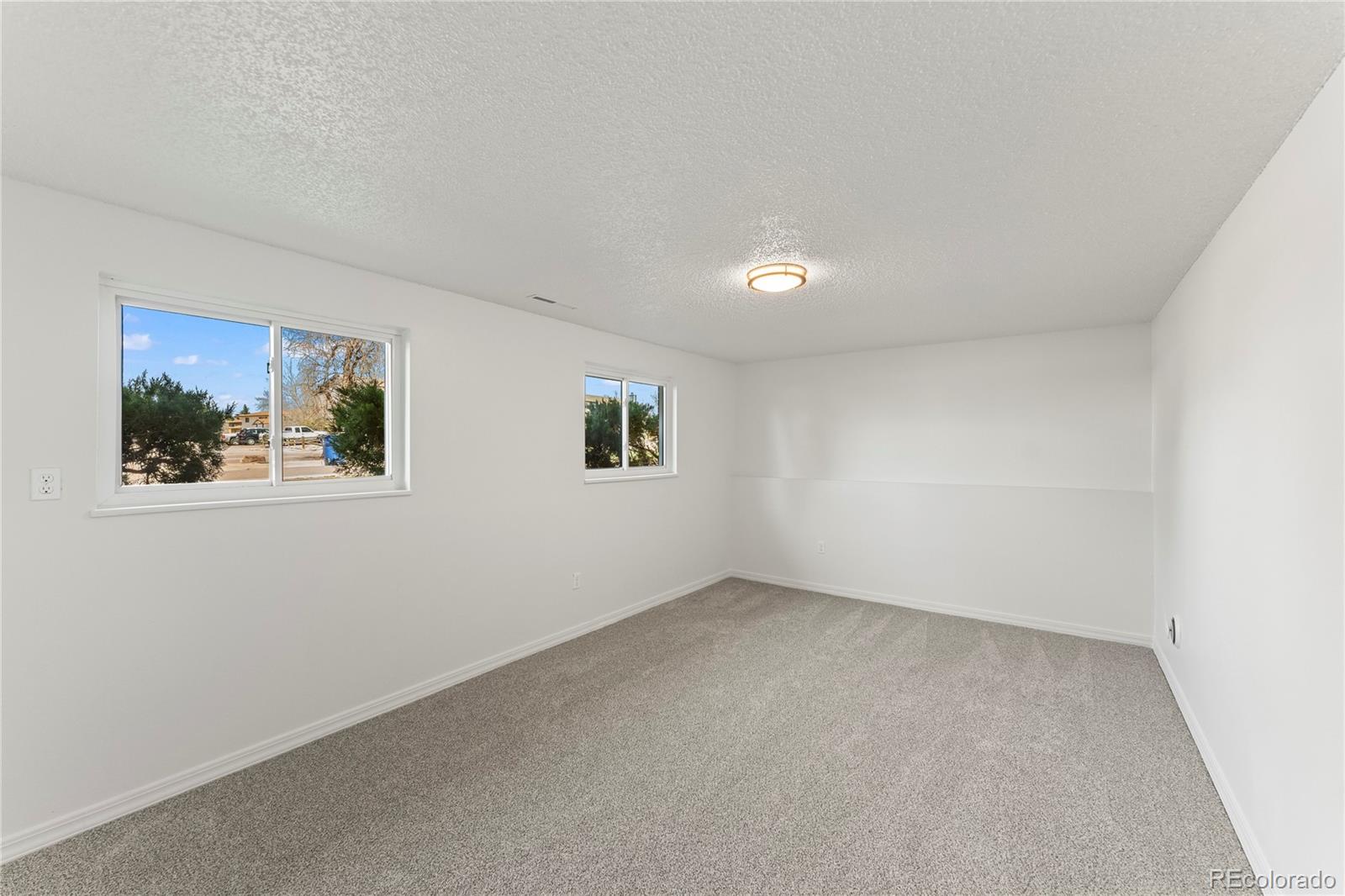 MLS Image #12 for 6645  palmer park ,colorado springs, Colorado