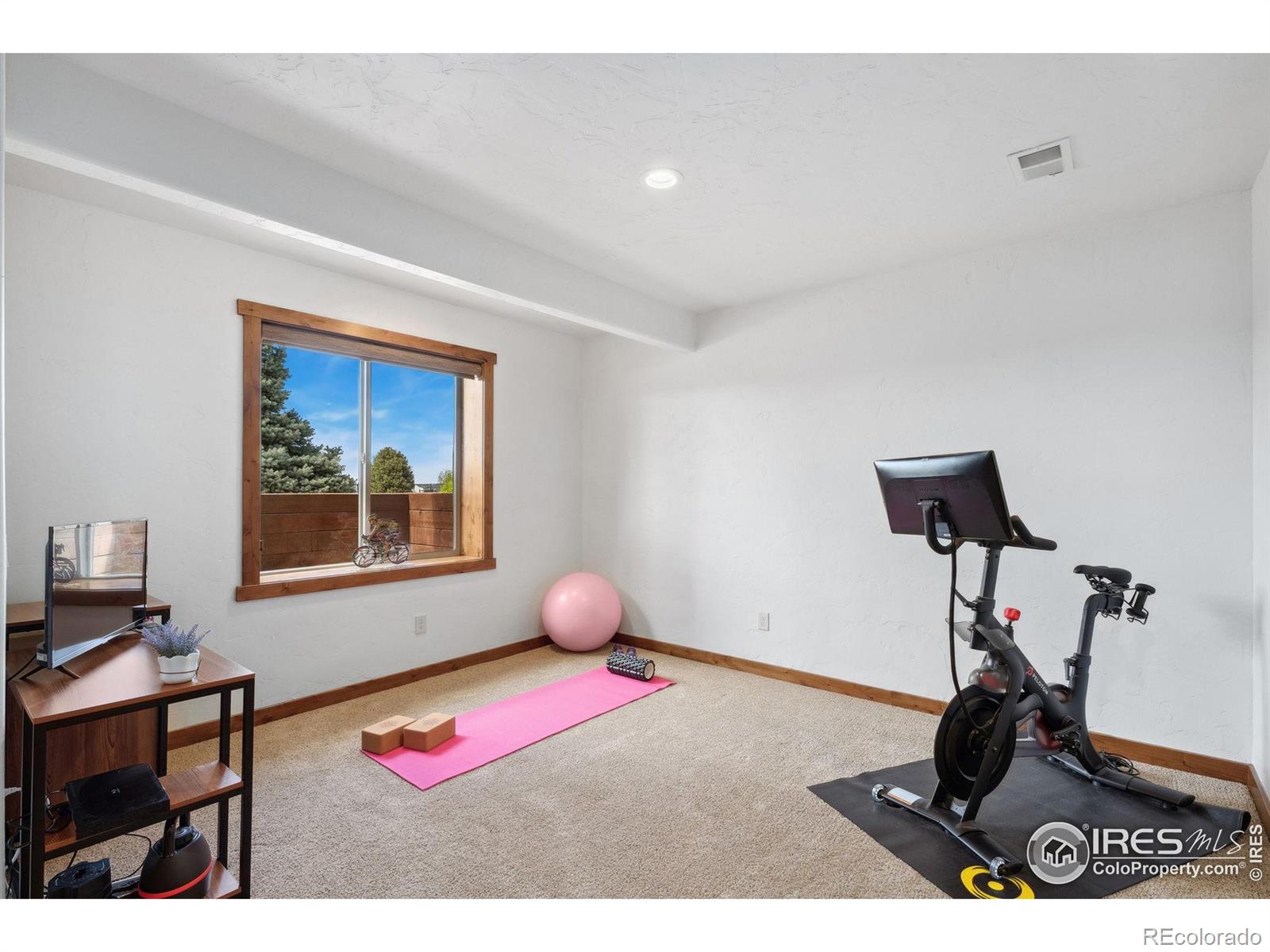 MLS Image #25 for 5239  hialeah drive,windsor, Colorado