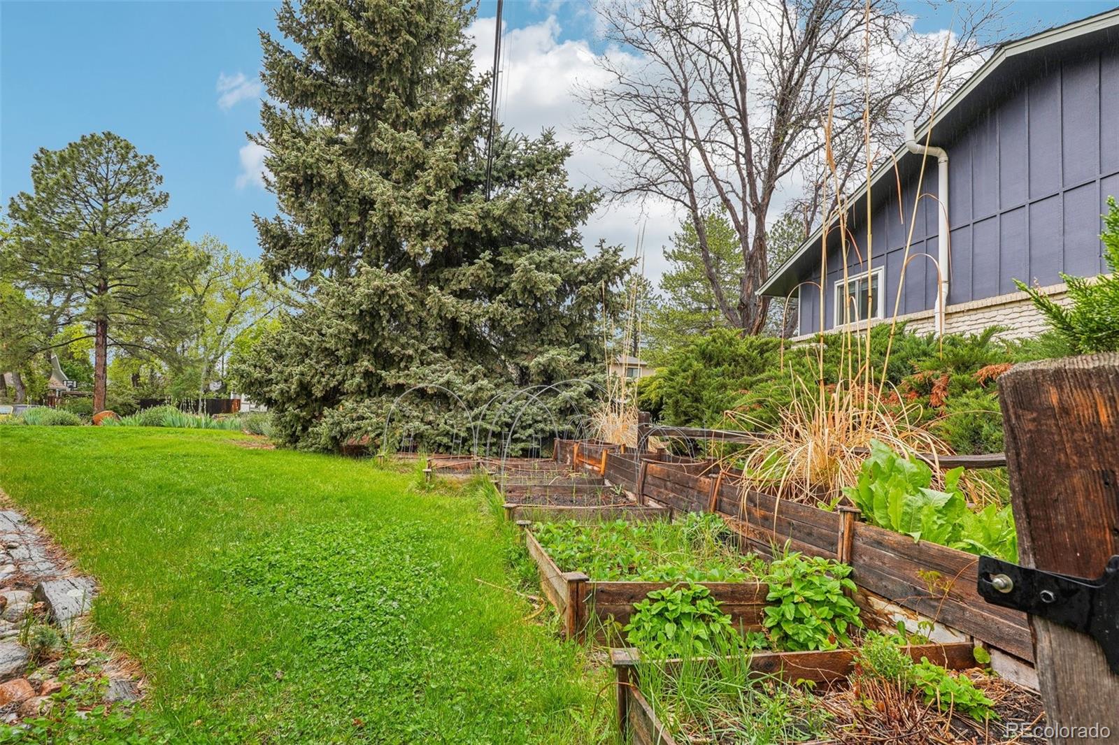 MLS Image #42 for 1118  eagle road,broomfield, Colorado
