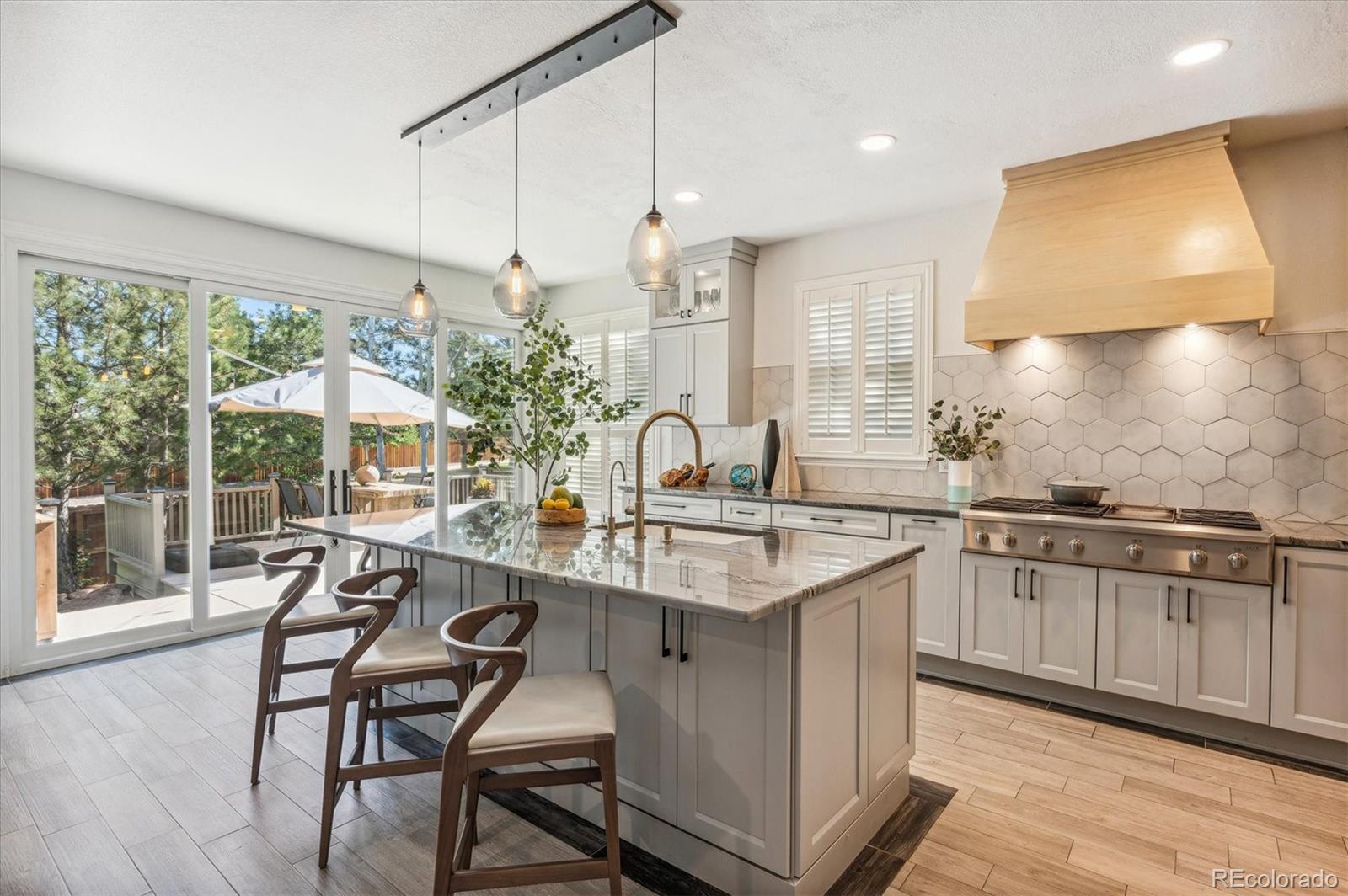 MLS Image #4 for 327  ingleton court,castle pines, Colorado