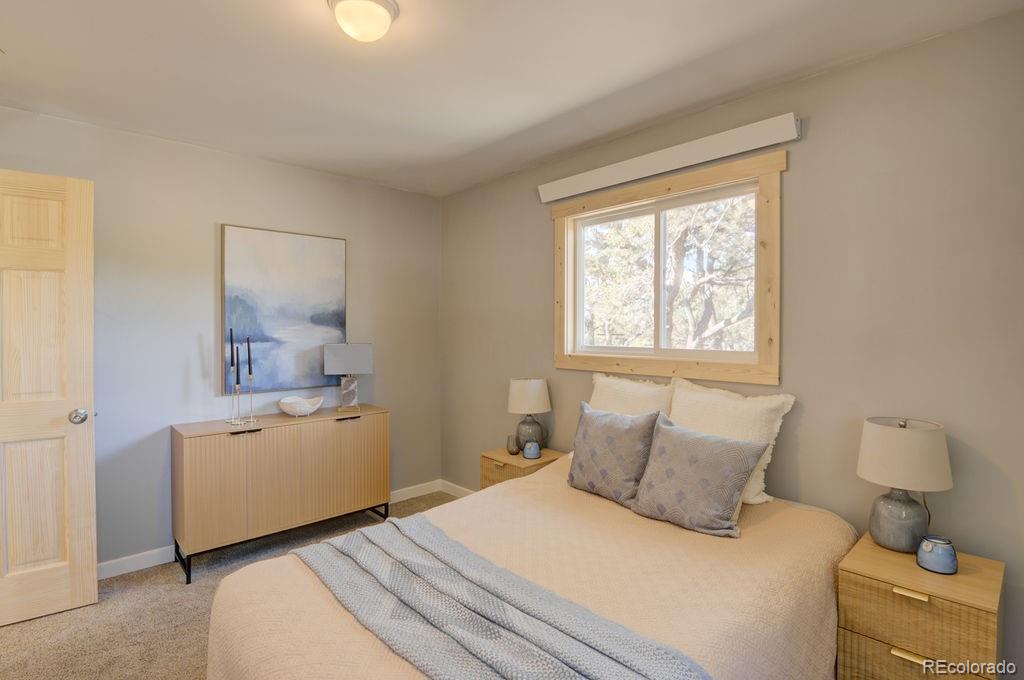 MLS Image #16 for 31252  county road 384a ,buena vista, Colorado