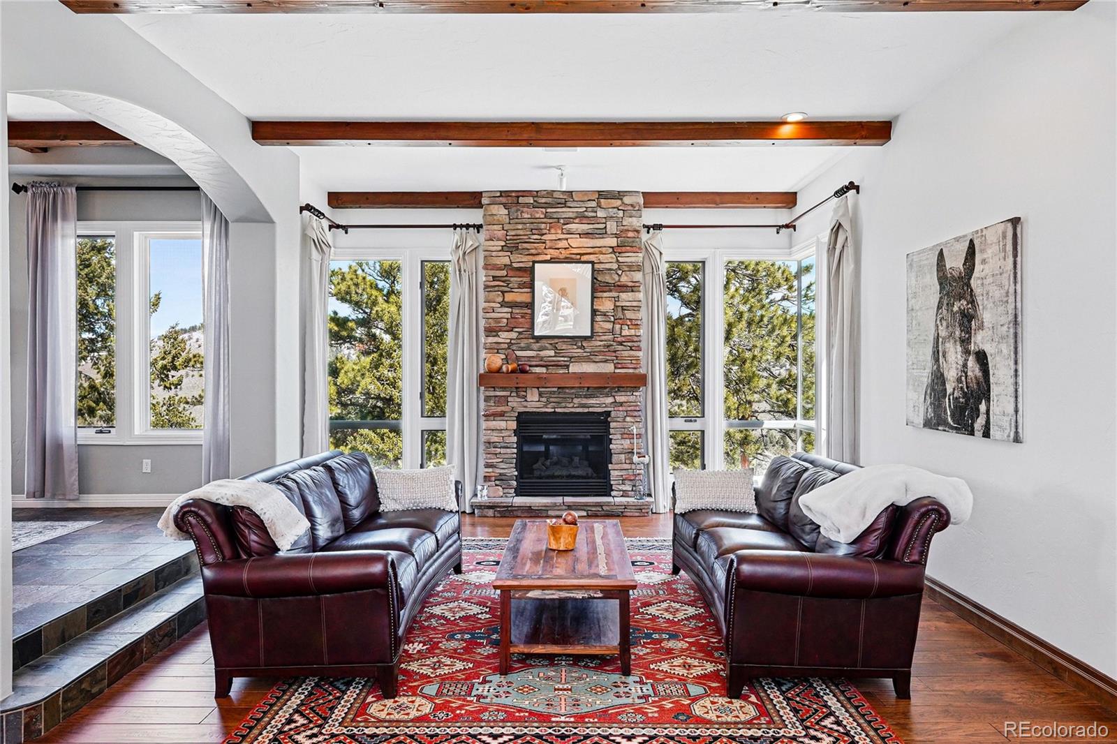 MLS Image #1 for 290  skyhill drive,evergreen, Colorado