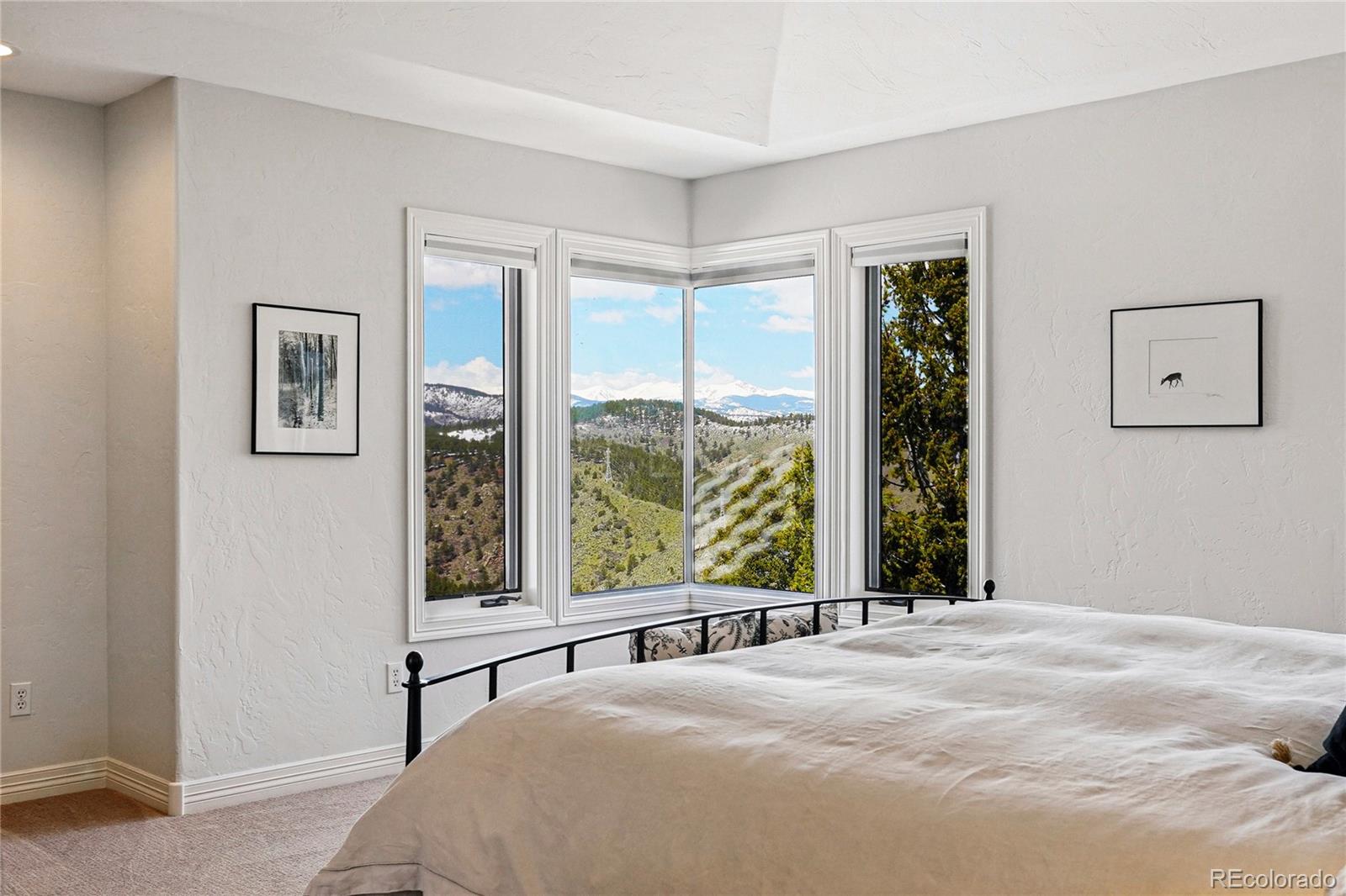 MLS Image #31 for 290  skyhill drive,evergreen, Colorado