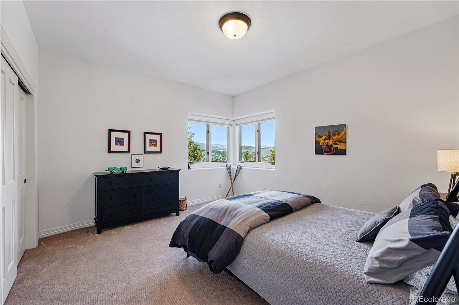 MLS Image #37 for 290  skyhill drive,evergreen, Colorado
