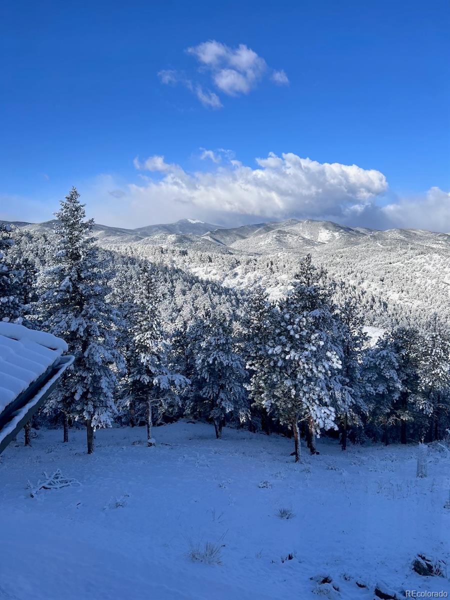 MLS Image #42 for 290  skyhill drive,evergreen, Colorado