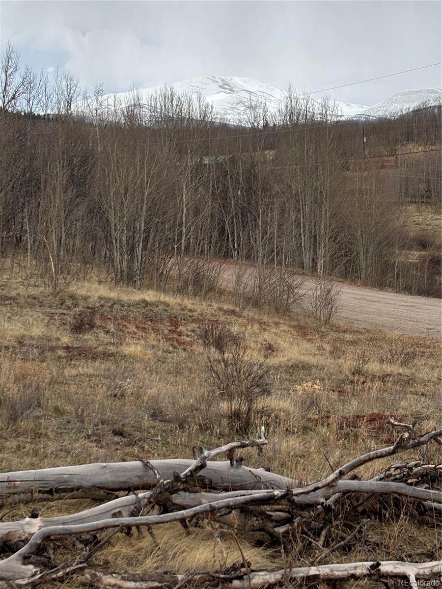 MLS Image #31 for 47  lumberjack road,fairplay, Colorado