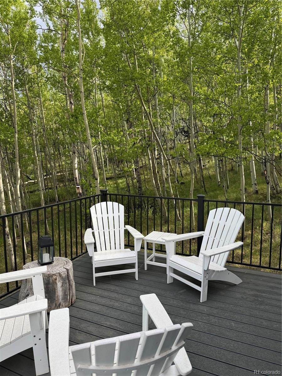 MLS Image #35 for 47  lumberjack road,fairplay, Colorado