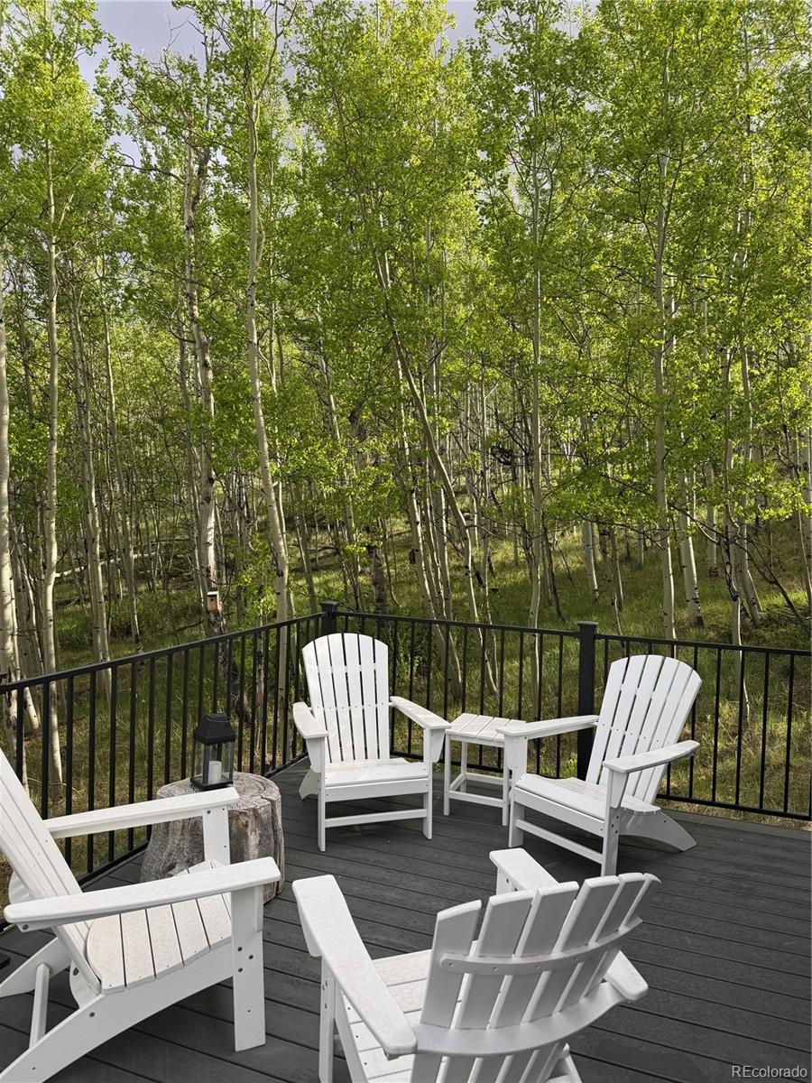MLS Image #42 for 47  lumberjack road,fairplay, Colorado